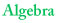 Online Algebra Tutoring